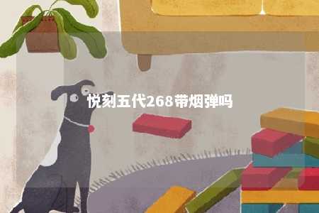 悦刻五代268带烟弹吗